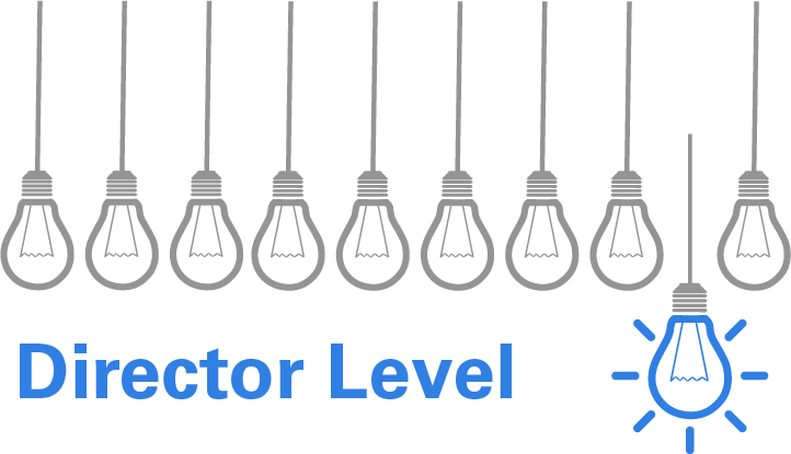 director level